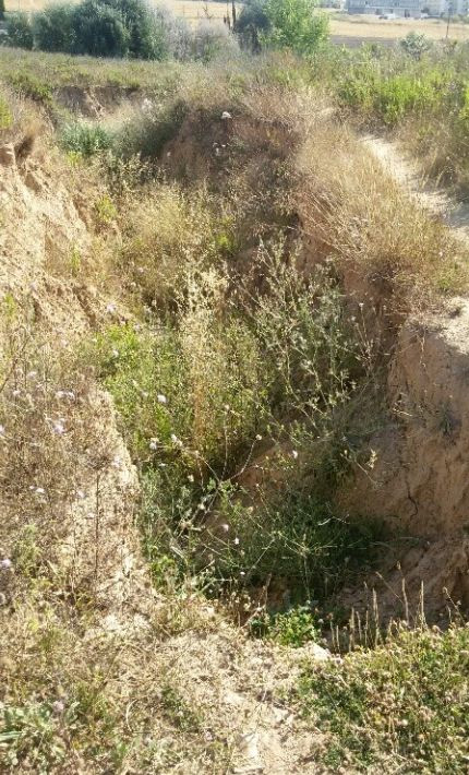 Treballs a can Planas per assegurar l'estabilitat d'un camí
