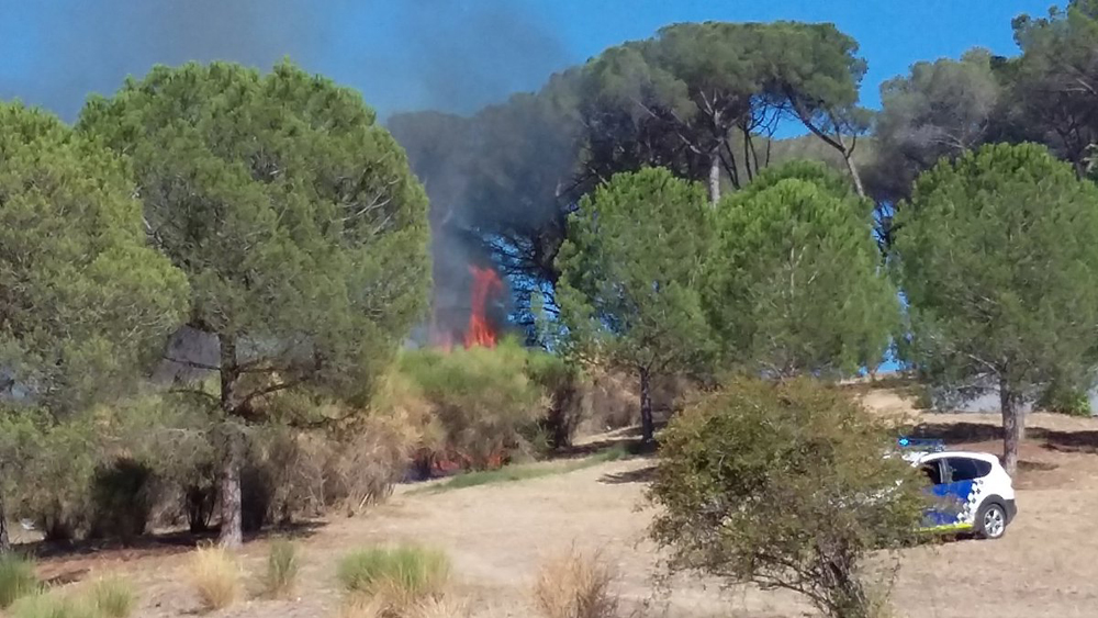 Extingit un petit incendi al Turonet
