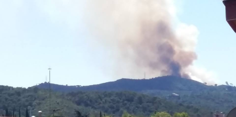 Un incendi crema a la vessant barcelonina de Collserola