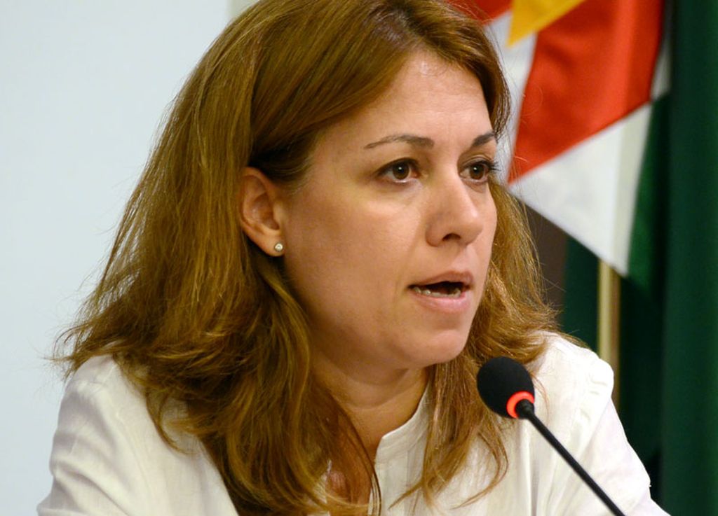 ERC espera que el sentit de responsabilitat de l'oposició impedeixi un bloqueig sistemàtic de l'acció de govern