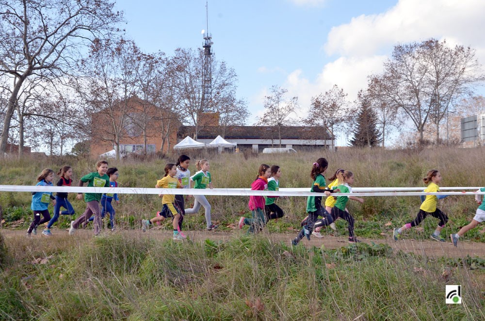 Cros Comarcal Escolar a Barberà del Vallès