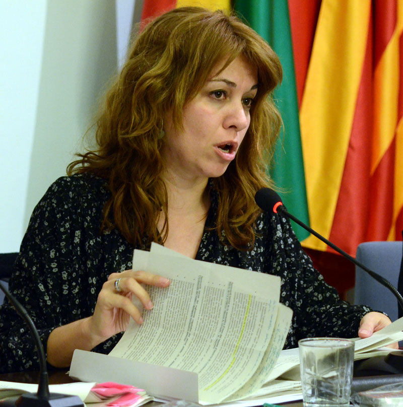 ERC considera lògic aturar la dissolució de Cerdanyola Aparca davant l'informe de possibles il·legalitats en la gestió