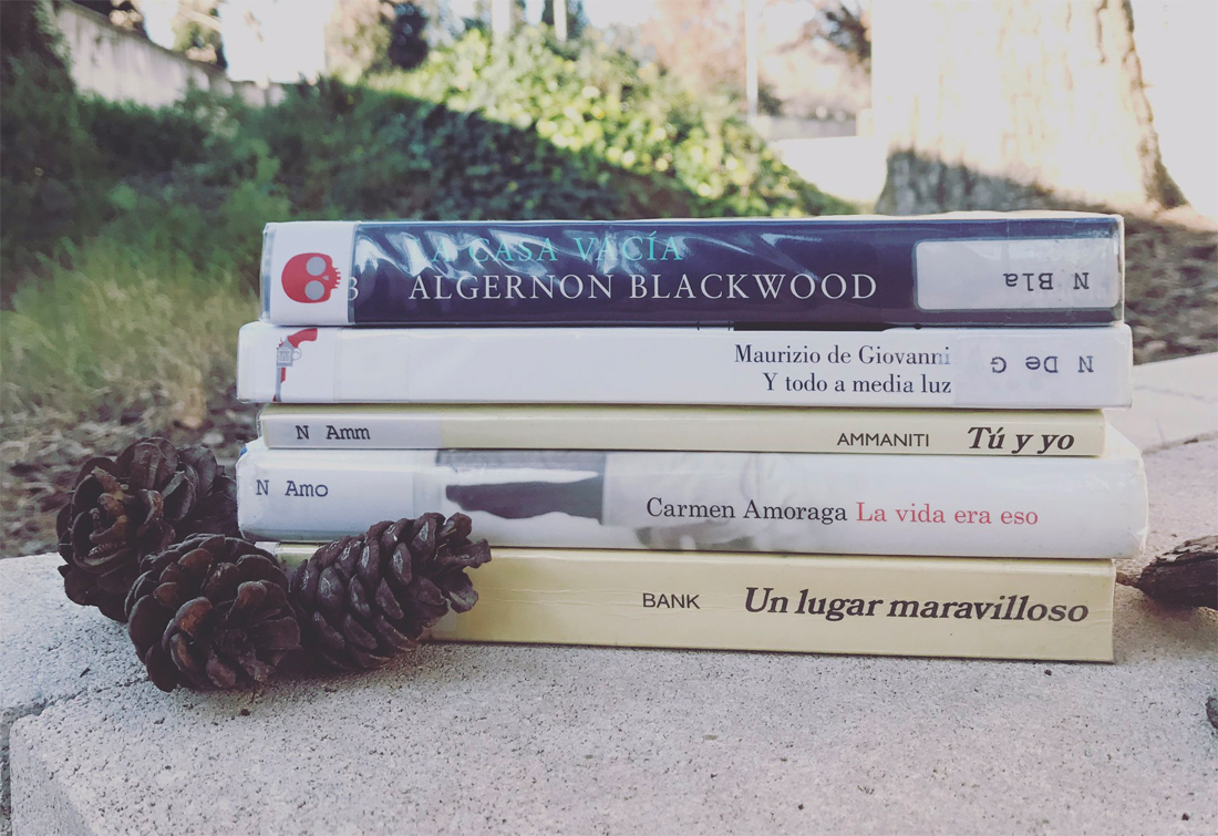 La biblioteca de Cerdanyola #Robaunpoema