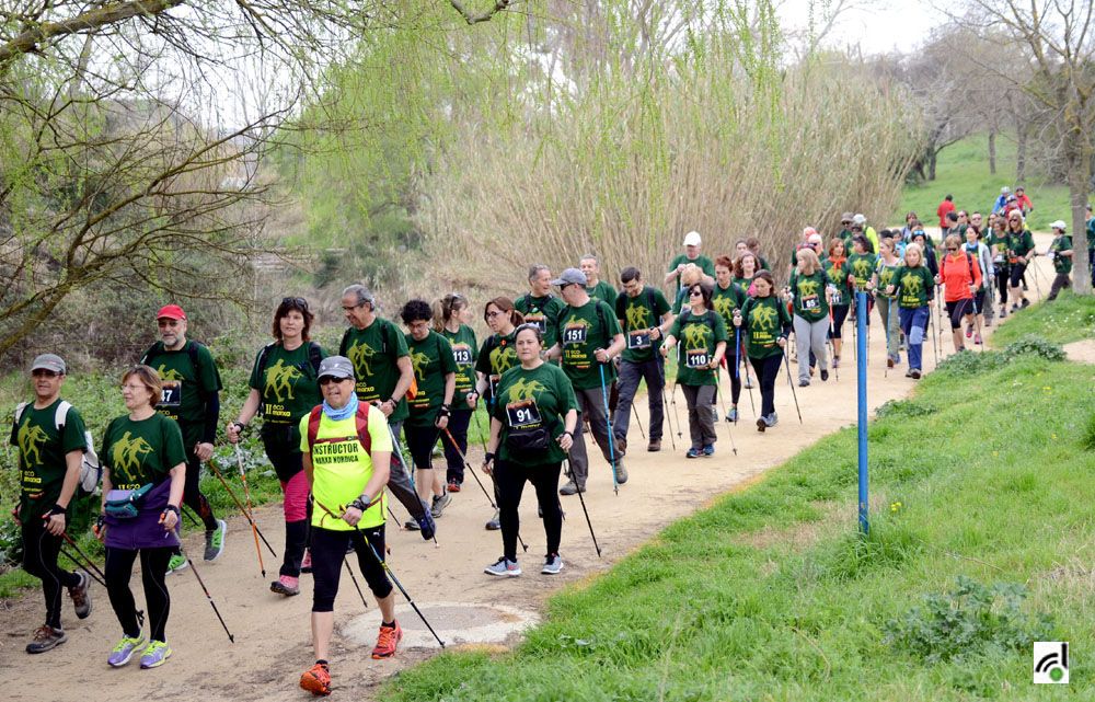 La segona Ecomarxa Nòrdica fa gaudir del Parc de Collserola als 500 participants