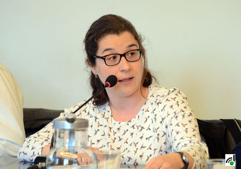 ICV/EUiA no donarà suport a cap moció de censura