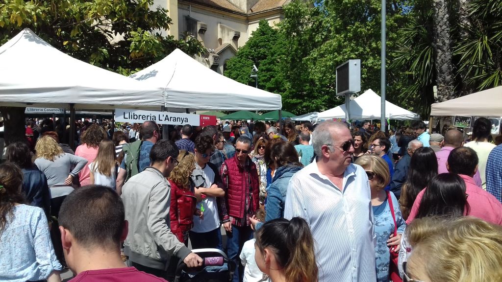 Esplèndid matí de Sant Jordi