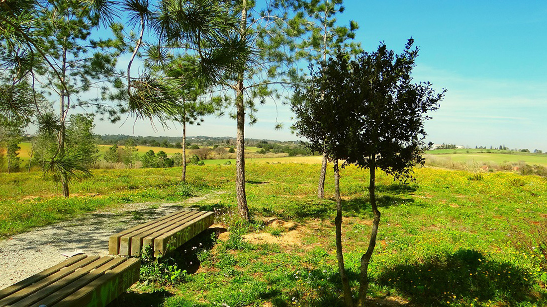 Cerdanyola comptarà al juny amb dos itineraris de natura al Parc de l'Alba