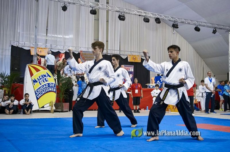 El Lee Young torna amb vuit medalles de l’Open Taekwondo Comunitat de València