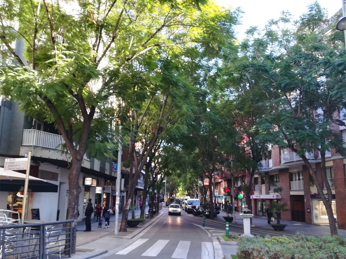 Es rebaixaran les xicrandes de l'Avinguda de Catalunya