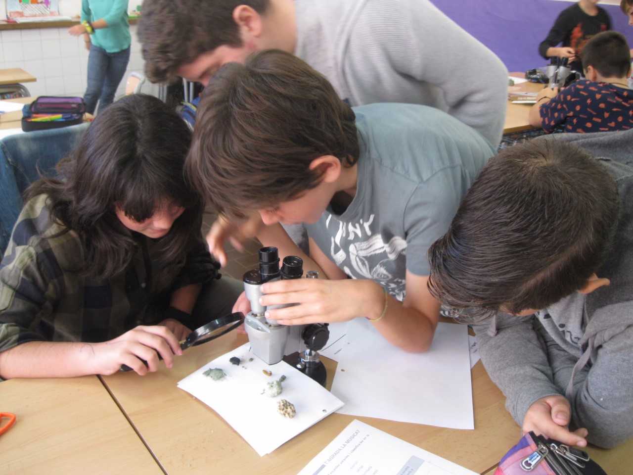 L'escola Carles Buigas impulsa l'aprenentatge experimental amb tallers a tots els cursos