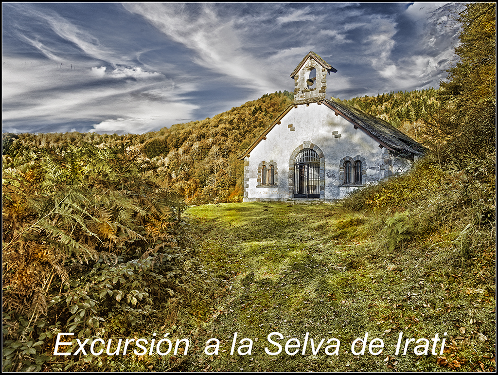 Exposició fotogràfica: Excursió a la selva d'Irati