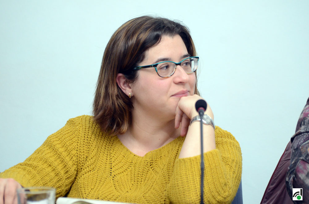 ICV-EUiA reclamen un pla de mobilitat