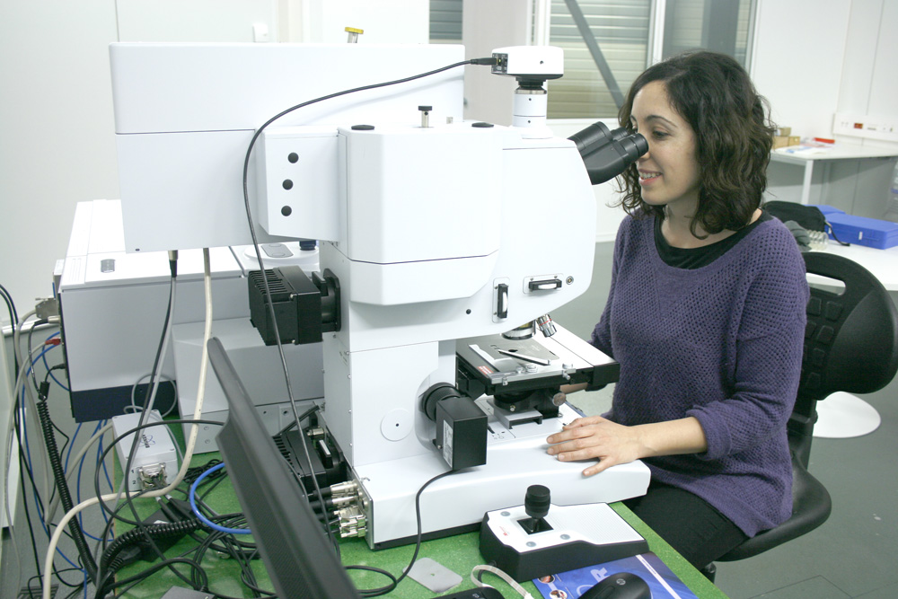 Analitzen amb llum de sincrotró els mecanismes de l’Alzheimer