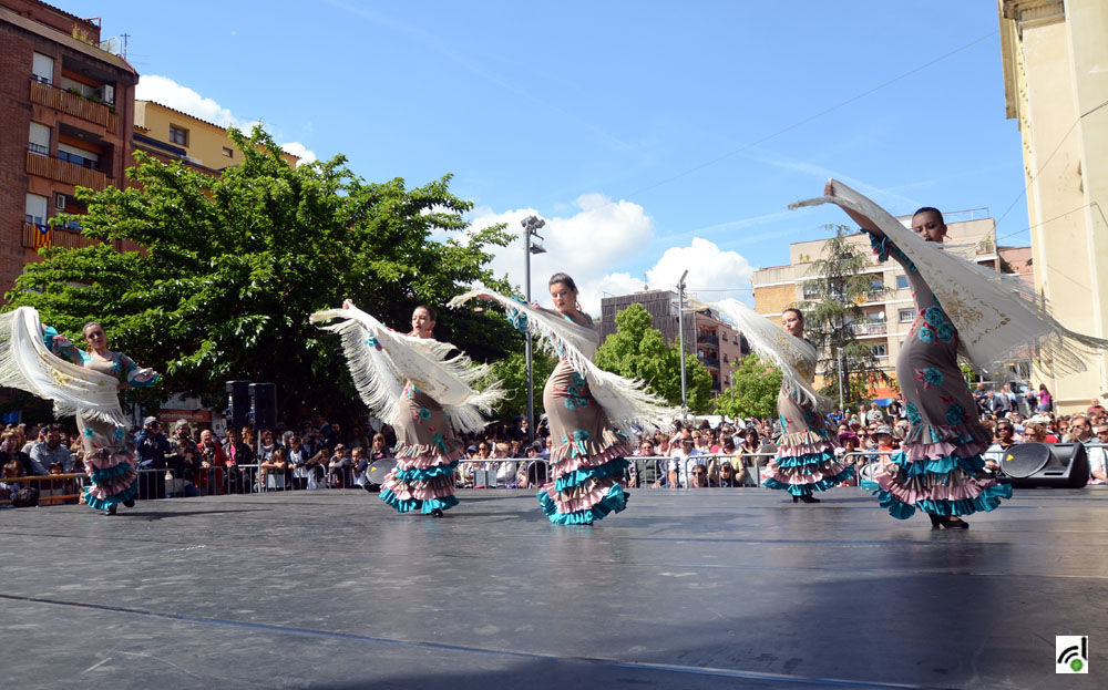 Cerdanyola commemora el Dia de la Dansa amb 7 escoles i entitats de ball