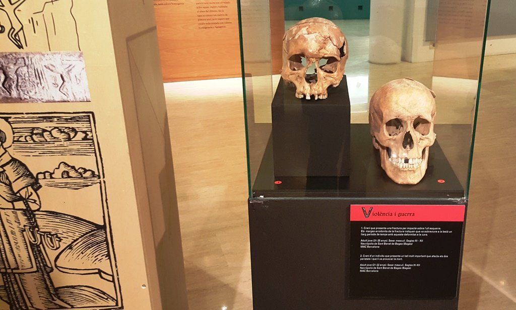 Visita guiada a l’exposició ‘Ossos. Un viatge a l’època medieval’