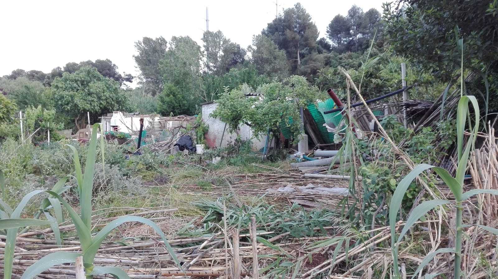 ADAC denuncia la situació dels animals domèstics trobats als horts entre Cerdanyola i Badia
