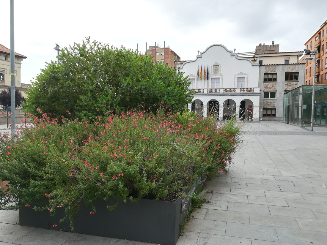 L'Ajuntament explica la presència d'herbes al carrer pel canvi d'un herbicida tòxic per mètodes manuals