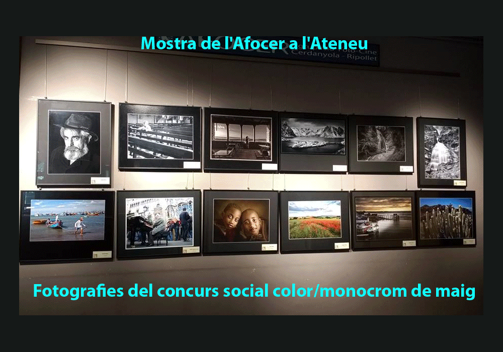 Exposició de fotografies dels concursos socials de color i monocrom de l'Afocer