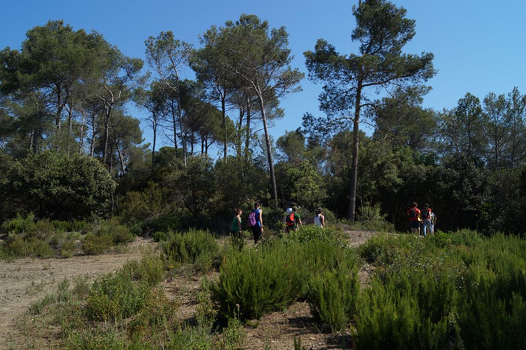 Obert el període d'informació pública del nou Pla Especial del Parc Natural de Collserola