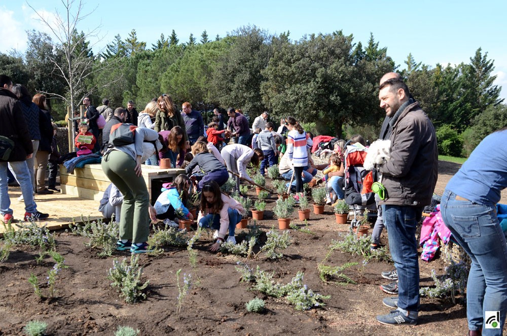Torna la Jugatecambiental preparant l'hort d'hivern al jardí de les papallones