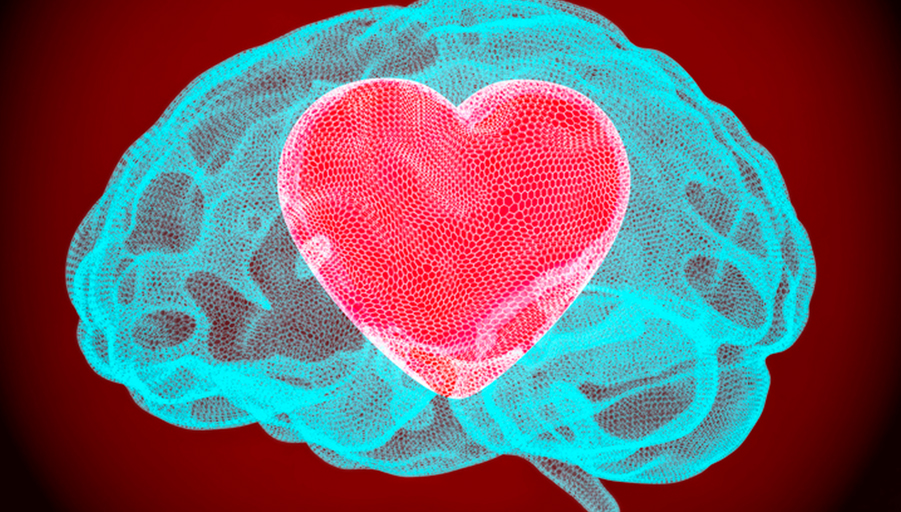 El cor no oblida, una història sobre Alzheimer