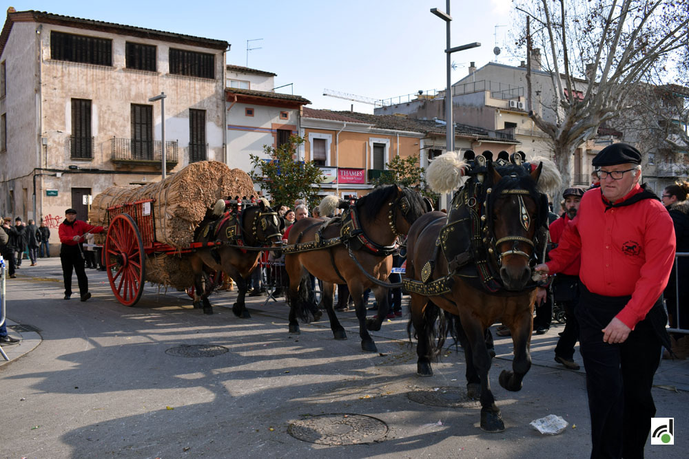 La festa de Sant Antoni Abat protagonitza l'agenda del cap de setmana