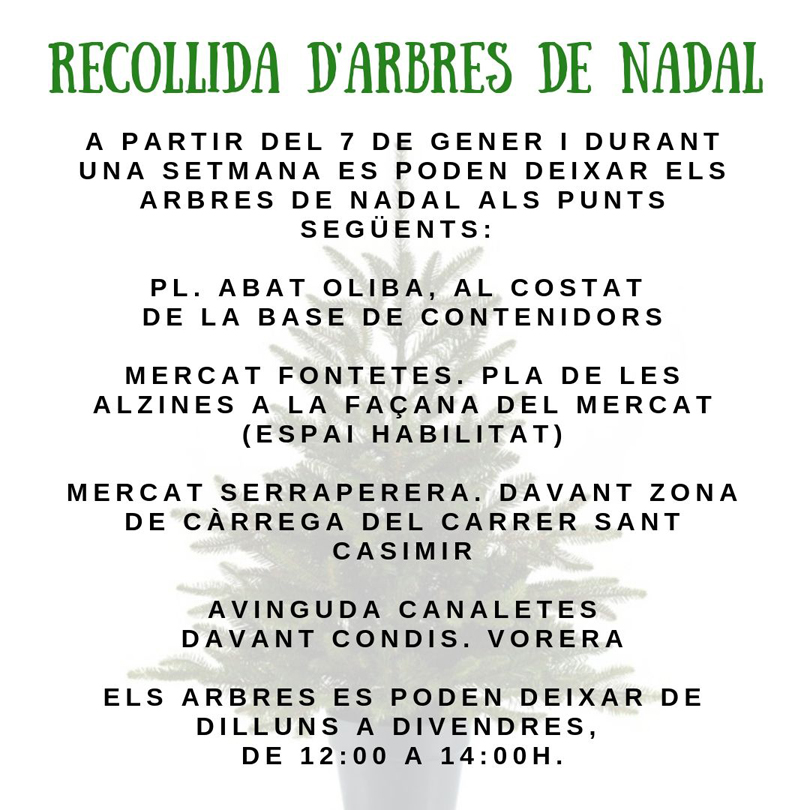A partir d'avui s'habilitaran punts de recollida dels arbres de Nadal