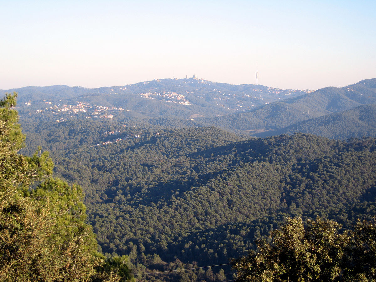 ADENC i CEPA denuncien les insuficiències del Pla Especial de Protecció Natural de Collserola