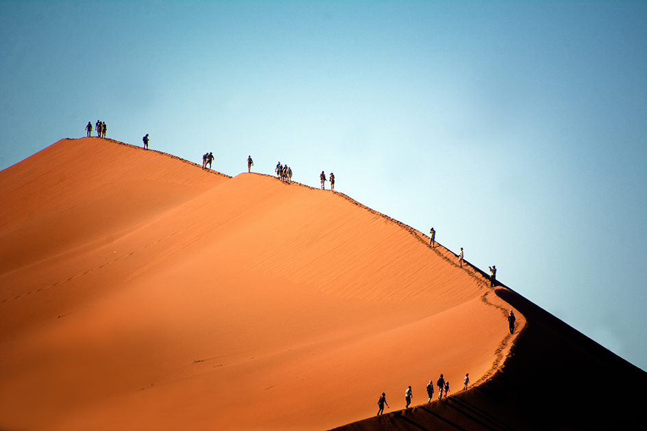 Exposició fotogràfica Afocer: "Àfrica al natural"