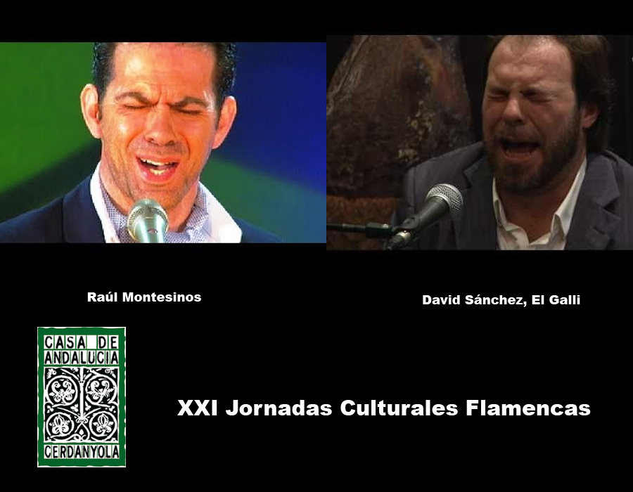 Raúl Montesinos i El Galli tanquen les XXXI Jornades Culturals Flamenques
