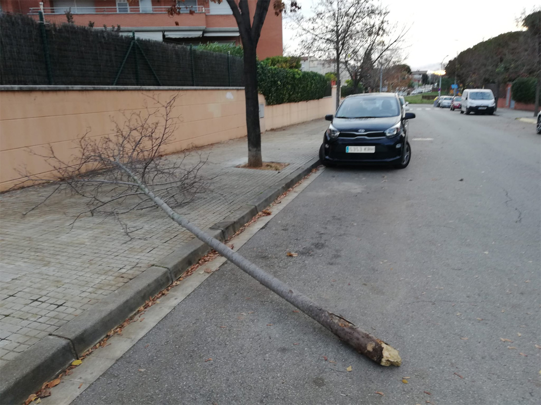 Precaució !! Protecció Civil activa l'alerta per les ventades