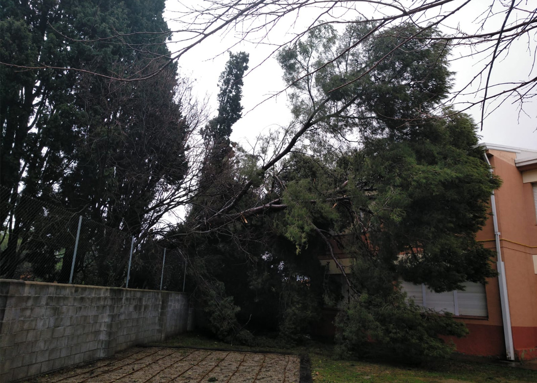 140 trucades de Cerdanyola al 112 a causa del temporal Glòria