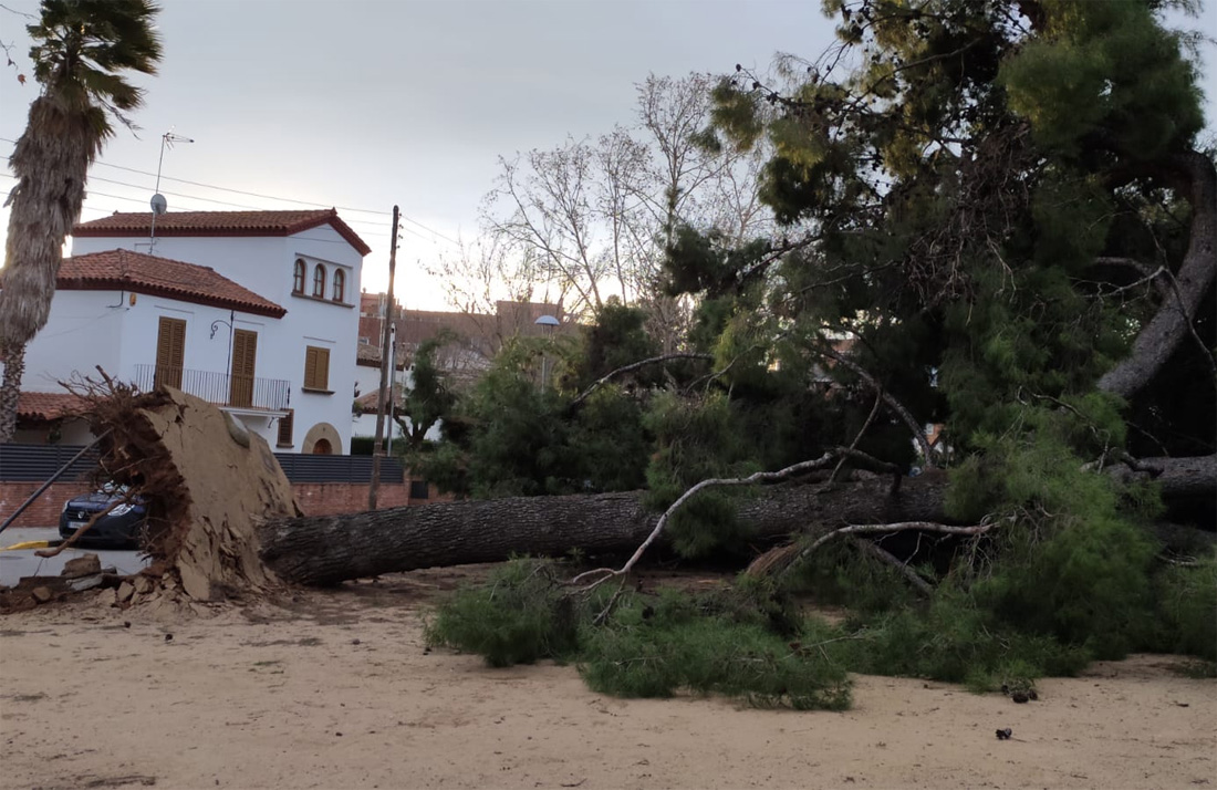 El temporal Glòria deixa 139 incidències a Cerdanyola