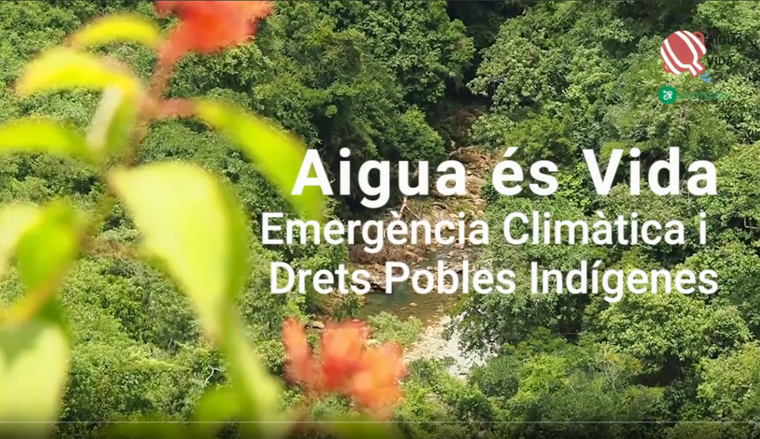 L’ONG alterNativa impulsa una campanya de suport a la lluita per l’aigua dels pobles indígenes